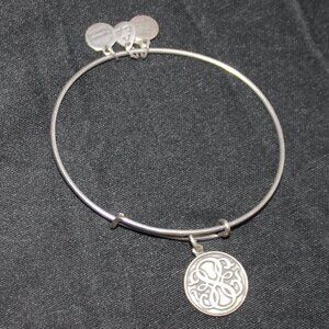 Alex and Ani Infinity Charm Bracelet
